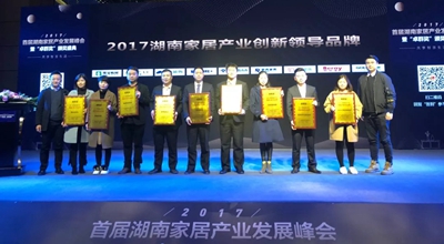 湖南省家具行業協會,家具行業協會,家具行業